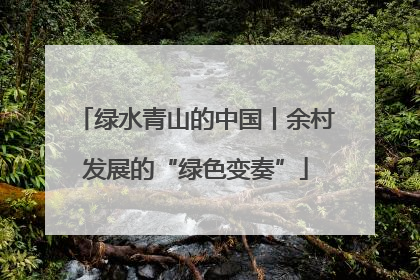 绿水青山的中国丨余村发展的“绿色变奏”