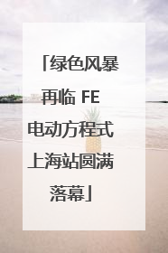 绿色风暴再临 FE电动方程式上海站圆满落幕