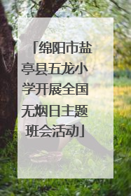 绵阳市盐亭县五龙小学开展全国无烟日主题班会活动