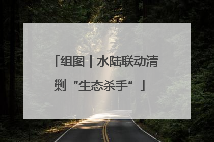 组图｜水陆联动清剿“生态杀手”