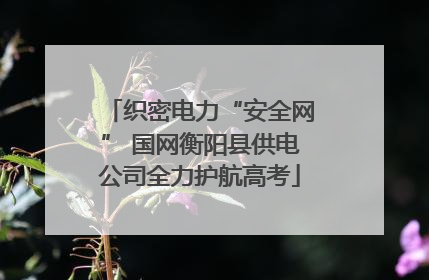 织密电力“安全网” 国网衡阳县供电公司全力护航高考