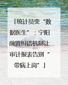 统计员变“数据医生”：宁阳前置纠错机制让审计报表告别“带病上岗”