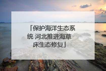 保护海洋生态系统 河北推进海草床生态修复