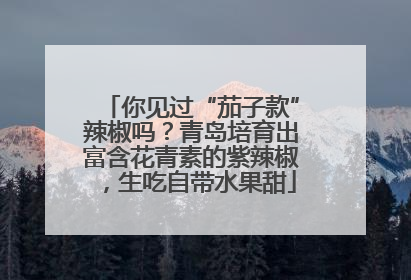 你见过“茄子款”辣椒吗？青岛培育出富含花青素的紫辣椒，生吃自带水果甜