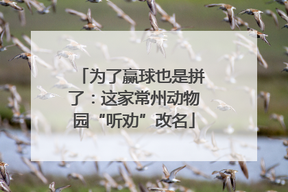为了赢球也是拼了：这家常州动物园“听劝”改名