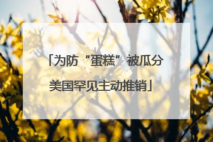为防“蛋糕”被瓜分 美国罕见主动推销