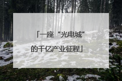 一座“光电城”的千亿产业征程