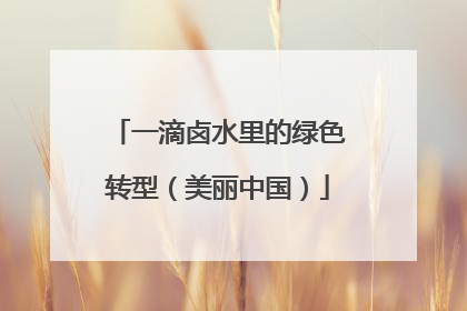 一滴卤水里的绿色转型（美丽中国）