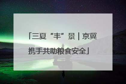 三夏“丰”景｜京冀携手共助粮食安全