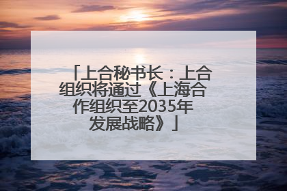 上合秘书长：上合组织将通过《上海合作组织至2035年发展战略》