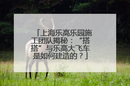 上海乐高乐园施工团队揭秘：“搭搭”与乐高大飞车是如何建造的？