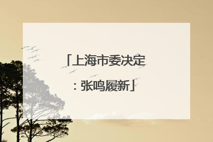上海市委决定：张鸣履新