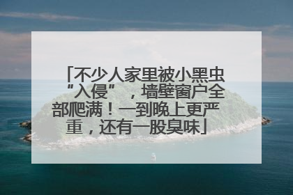 不少人家里被小黑虫“入侵”，墙壁窗户全部爬满！一到晚上更严重，还有一股臭味