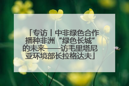 专访丨中非绿色合作播种非洲“绿色长城”的未来——访毛里塔尼亚环境部长拉格达夫