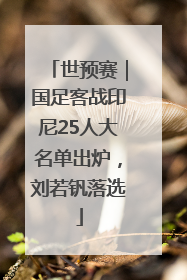 世预赛｜国足客战印尼25人大名单出炉，刘若钒落选