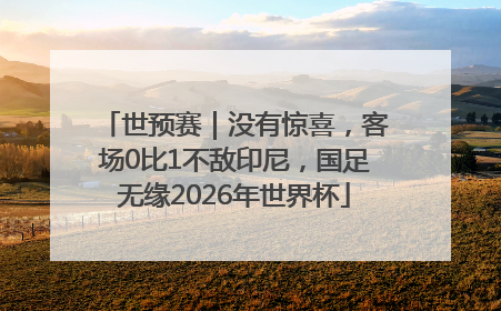 世预赛｜没有惊喜，客场0比1不敌印尼，国足无缘2026年世界杯