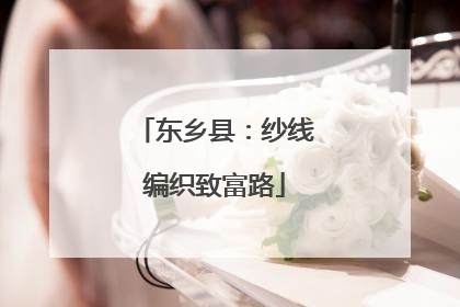 东乡县：纱线编织致富路