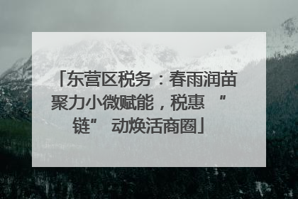 东营区税务：春雨润苗聚力小微赋能，税惠 “链” 动焕活商圈