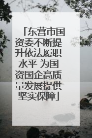 东营市国资委不断提升依法履职水平 为国资国企高质量发展提供坚实保障