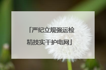严纪立规强运检 精技实干护电网