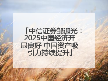 中信证券邹迎光：2025中国经济开局良好 中国资产吸引力持续提升
