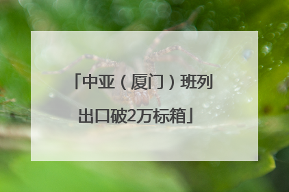 中亚（厦门）班列出口破2万标箱