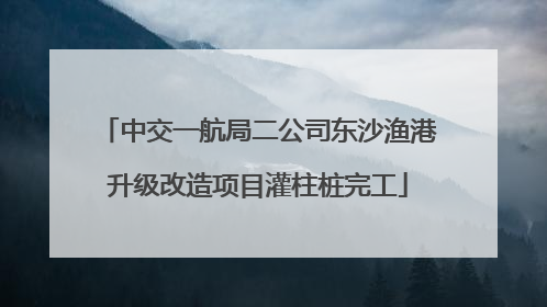 中交一航局二公司东沙渔港升级改造项目灌柱桩完工