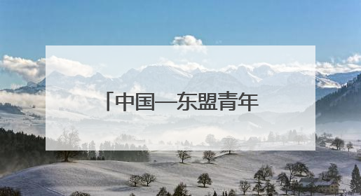 中国—东盟青年领军者成长计划研修班赴柳州三江多地研学考察