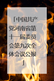 中国共产党河南省第十一届委员会第九次全体会议公报