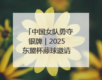 中国女队勇夺银牌｜2025东盟杯藤球邀请赛圆满收官