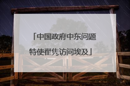 中国政府中东问题特使翟隽访问埃及