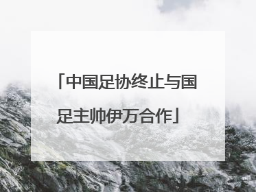 中国足协终止与国足主帅伊万合作