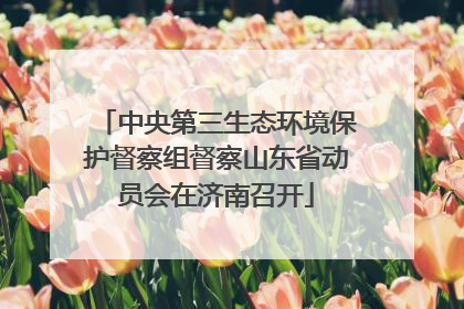 中央第三生态环境保护督察组督察山东省动员会在济南召开
