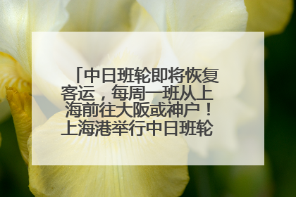 中日班轮即将恢复客运，每周一班从上海前往大阪或神户！上海港举行中日班轮船港联动应急演练
