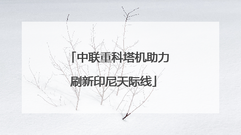 中联重科塔机助力刷新印尼天际线
