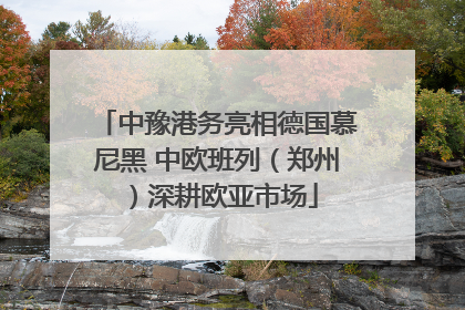 中豫港务亮相德国慕尼黑 中欧班列（郑州）深耕欧亚市场