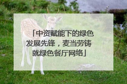 中资赋能下的绿色发展先锋，麦当劳铸就绿色餐厅网络
