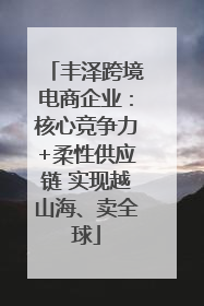 丰泽跨境电商企业：核心竞争力+柔性供应链 实现越山海、卖全球