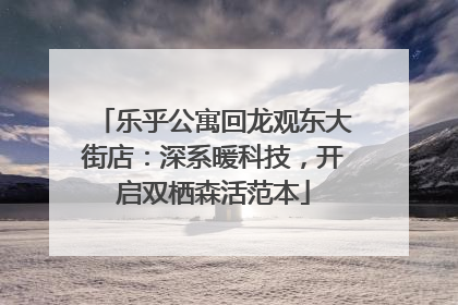 乐乎公寓回龙观东大街店：深系暖科技，开启双栖森活范本