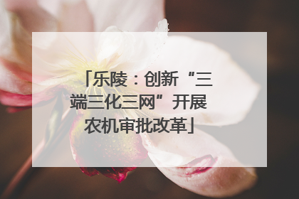 乐陵：创新“三端三化三网”开展农机审批改革