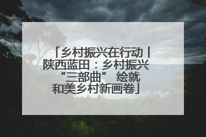 乡村振兴在行动丨陕西蓝田：乡村振兴 “三部曲” 绘就和美乡村新画卷