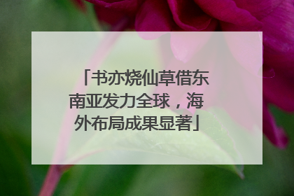 书亦烧仙草借东南亚发力全球，海外布局成果显著