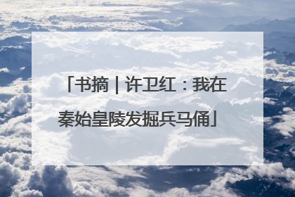书摘｜许卫红：我在秦始皇陵发掘兵马俑