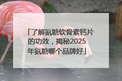 了解氨糖软骨素钙片的功效，揭秘2025年氨糖哪个品牌好
