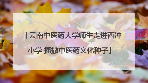 云南中医药大学师生走进西冲小学 播撒中医药文化种子