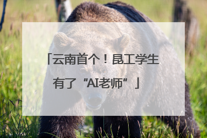 云南首个！昆工学生有了“AI老师”