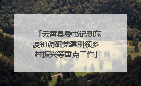 云霄县委书记到东厦镇调研党建引领乡村振兴等重点工作
