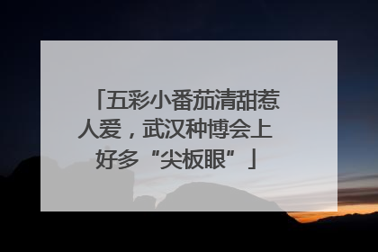 五彩小番茄清甜惹人爱，武汉种博会上好多“尖板眼”