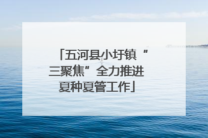 五河县小圩镇“三聚焦”全力推进夏种夏管工作
