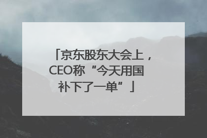 京东股东大会上，CEO称“今天用国补下了一单”
